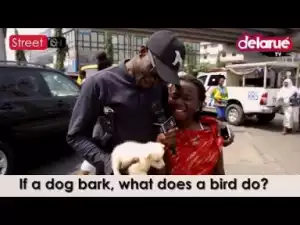 Video: Delarue TV – If a Dog Barks, What Does a Bird Do?